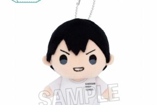 ハイキュー!! 指の上シリーズ　体育着ver.　影山飛雄
 
2025年09月発売