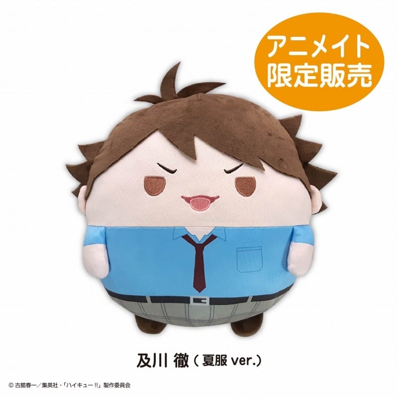 ハイキュー!! ふわコロりんBIG6H:及川 徹(夏服ver.)[アニメイト限定]【再販】
 
2025年08月発売