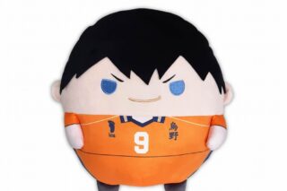 ハイキュー!! ふわコロりんBIG6A:影山 飛雄【再販】
 アニメイトで
2025年08月発売