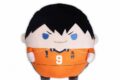 ハイキュー!! ふわコロりんBIG6A:影山 飛雄【再販】
 
2025年08月発売