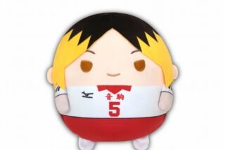 ハイキュー!! ふわコロりんMsize6 D:孤爪 研磨【再販】
 
2025年08月発売