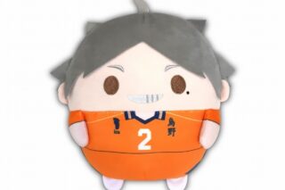 ハイキュー!! ふわコロりんMsize6 B:菅原 孝支【再販】
 
2025年08月発売