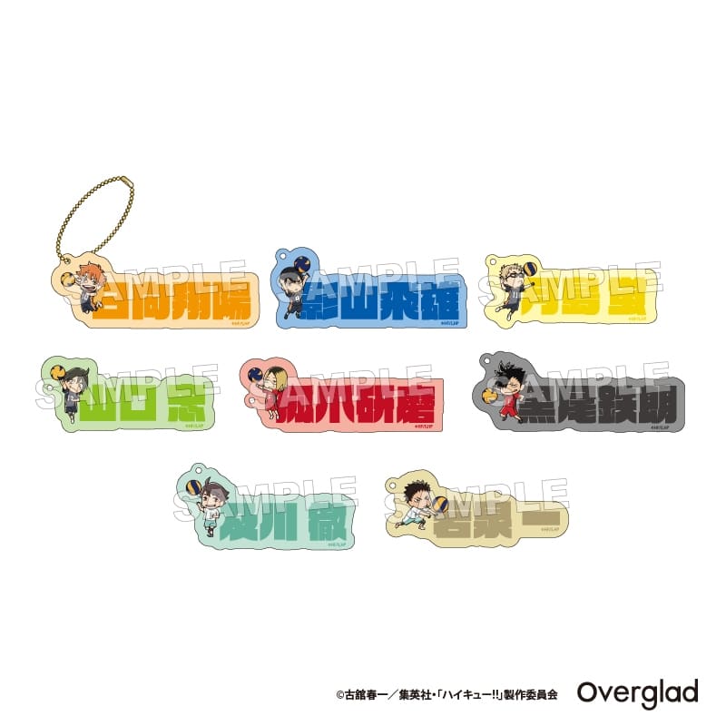 ハイキュー!! トレーディングアクリルネームブロックキーホルダー
 アニメイトで
2025年08月発売