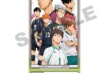 アニメ『ハイキュー!!』 ビジュアルクリアチケット2【再販】
 
2025年08月発売
で取扱中