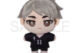 ハイキュー!! ぬいパル(ぬいぐるみマスコット)/第二弾 宮治
 アニメイトで
2025年9月5日発売