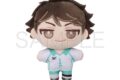ハイキュー!! ぬいパル(ぬいぐるみマスコット)/第二弾 及川徹
 アニメイトで
2025年9月5日発売