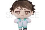 ハイキュー!! ぬいパル(ぬいぐるみマスコット)/第二弾 及川徹
 
2025年9月5日発売
