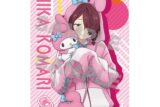 負けヒロインが多すぎる!×サンリオキャラクターズ B2タペストリー 小鞠知花×マイメロディ
 
2025年07月下旬発売