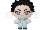 ハイキュー!! ぬいパル(ぬいぐるみマスコット)/第二弾 岩泉一
 
2025年9月5日発売