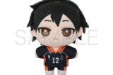 ハイキュー!! ぬいパル(ぬいぐるみマスコット)/第二弾 山口忠
 
2025年9月5日発売