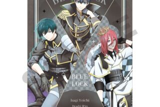 ブルーロック シングルクリアファイル ブラック チェス ニュアンスカラー
 
2025年07月発売
で取扱中