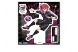 [アニメイト]ブルーロック アクリルスタンド-ナイトサッカー-(F 千切 豹馬)
 
2025年07月発売