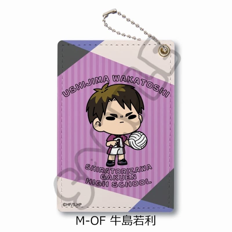 ハイキュー!! みんなmochocho化大作戦!第7弾 パスケース M-OF(牛島若利)
 
2025年08月下旬発売
で取扱中
