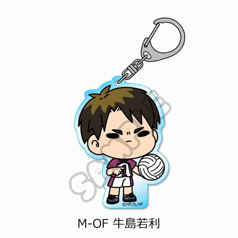 ハイキュー!! みんなmochocho化大作戦!第7弾 アクリルキーホルダー M-OF(牛島若利)
 
2025年08月下旬発売