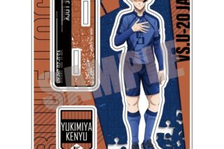 ブルーロック アクリルスタンド 第一弾 雪宮 剣優
 
2025年07月中旬発売
で取扱中