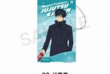 呪術廻戦 クリアパスケース(渋谷事変) 伏黒 恵
 
2025年03月上旬発売