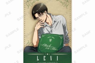 進撃の巨人 描き下ろしイラスト リヴァイ リラックスver. 1ポケットパスケース【再販】
 
2025年8月7日発売
で取扱中