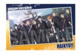 ハイキュー!! スタパネ ミニ vol.7　11
 
2025年07月発売