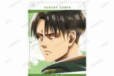 進撃の巨人 リヴァイ Ani-Art aqua label 1ポケットパスケース【再販】
 
2025年8月7日発売