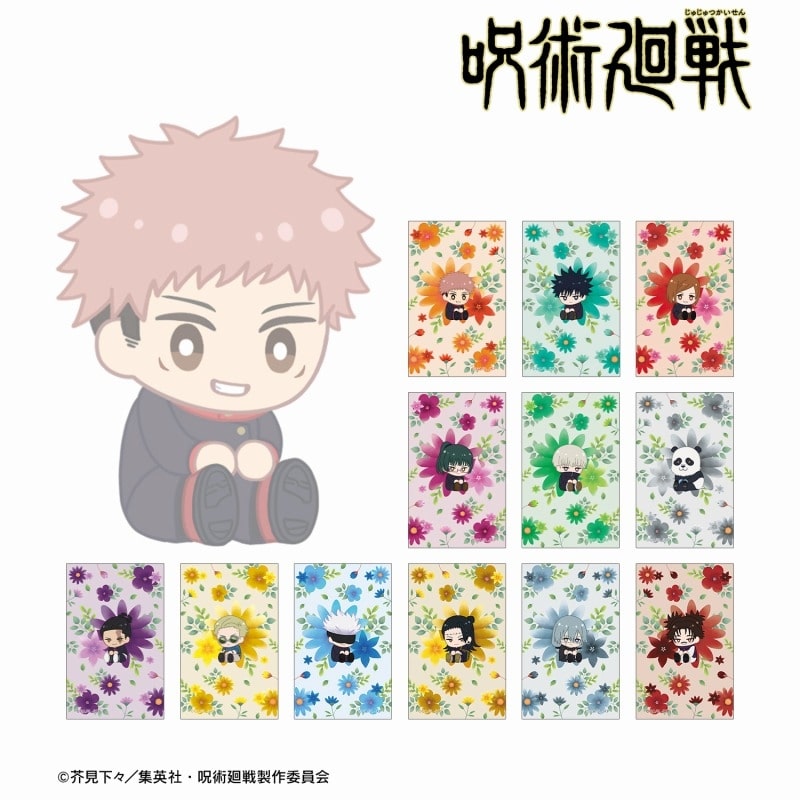 呪術廻戦 トレーディング Botania 第2弾 イラストカード【アニメイト特典付】
 
2025年4月17日発売