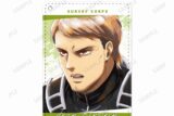 進撃の巨人 ジャン Ani-Art aqua label 1ポケットパスケース【再販】
 
2025年8月7日発売