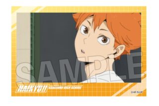 ハイキュー!! 積み積みブロック vol.7　1
 
2025年07月発売