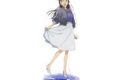 劇場版 名探偵コナン 隻眼の残像(フラッシュバック) アクリルスタンド/毛利蘭【再販】
 
2025年7月18日発売