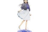 劇場版 名探偵コナン 隻眼の残像(フラッシュバック) アクリルスタンド/毛利蘭【再販】
 
2025年7月18日発売