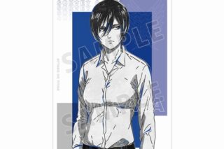 進撃の巨人 ミカサ Ani-Art BLACK LABEL A3マット加工ポスター【再販】
 
2025年8月7日発売
