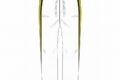 ハイキュー!! 高校ジャージ パンツ 梟谷学園高校 L【再販】
 
2025年07月上旬発売