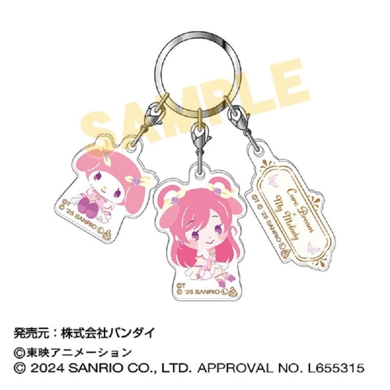 Yes! プリキュア5GoGo!×サンリオキャラクターズ 3連アクリルキーホルダー01 キュアドリーム×マイメロディ
 
2025年02月発売