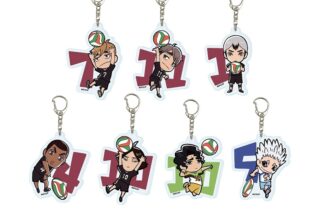 ハイキュー!! アクリルキーホルダー10月ブラインド(全7種)
 
2025年05月発売