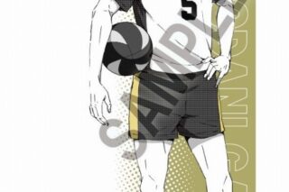 ハイキュー!! ポートレートシリーズBIGファブリックポスター 赤葦 京治
 
2025年04月発売