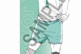 ハイキュー!! ポートレートシリーズBIGファブリックポスター 及川 徹
 
2025年04月発売