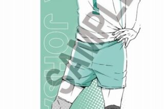 ハイキュー!! ポートレートシリーズBIGファブリックポスター 及川 徹
 
2025年04月発売