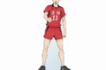 アニメハイキュー!! フチなしアクリルスタンド 15.灰羽 リエーフ
 
2025年03月上旬発売