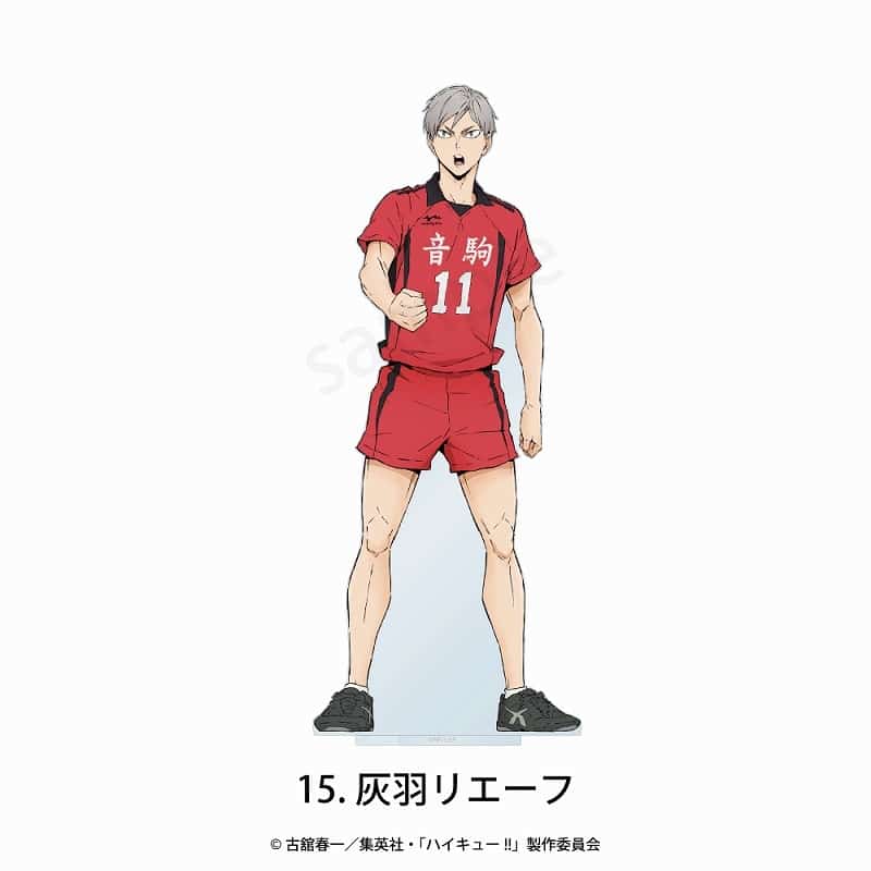 アニメハイキュー!! フチなしアクリルスタンド 15.灰羽 リエーフ
 
2025年03月上旬発売