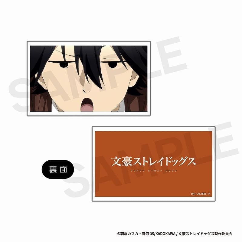 文豪ストレイドッグス (文スト) カスタマイズ場面写 ぴくスタパーツ 06
 
2025年04月上旬発売
で取扱中