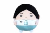 ハイキュー!! ふわコロりんMsize4F:国見 英【再販】
 
2025年04月発売
で取扱中