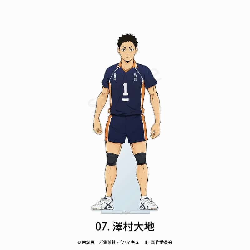 アニメハイキュー!! フチなしアクリルスタンド 07.澤村大地
 
2025年02月中旬発売
