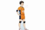 アニメハイキュー!! フチなしアクリルスタンド 05.西谷 夕
 
2025年02月中旬発売