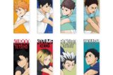 ハイキュー!! トレーディングロング缶バッジ ～レシーブ～ 【全8種】(単品)
 アニメイトで
2025年08月下旬発売