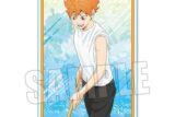 ハイキュー!! アクリルカード 日向 翔陽 プール掃除ver.【再々販】
 
2024年02月下旬発売
で取扱中