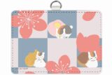 夏目友人帳 arti-mate ネックストラップ付きパスケース ニャンコ先生 和菓子モチーフver.[アニメイト限定]
 
2025年5月22日発売
で取扱中 (アニメイト)