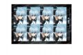 [アニメイト]ブルーロック 証明写真風シール-ナイトサッカー-(H 氷織 羊)
 
2025年07月発売