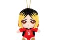 ハイキュー!! Chibiぬいおすわりマスコット 孤爪 研磨
 アニメイトで
2025年08月発売