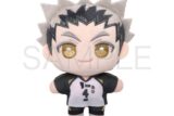 ハイキュー!! ぬいパル(ぬいぐるみ) 木兎光太郎 【再販】 キャラアニで
                                                2025年9月発売