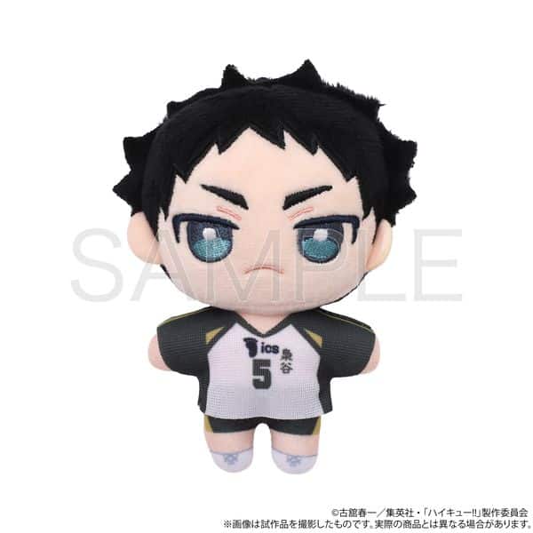 ハイキュー!! ぬいパル(ぬいぐるみ) 赤葦京治 【再販】 キャラアニで
                                                2025年9月発売