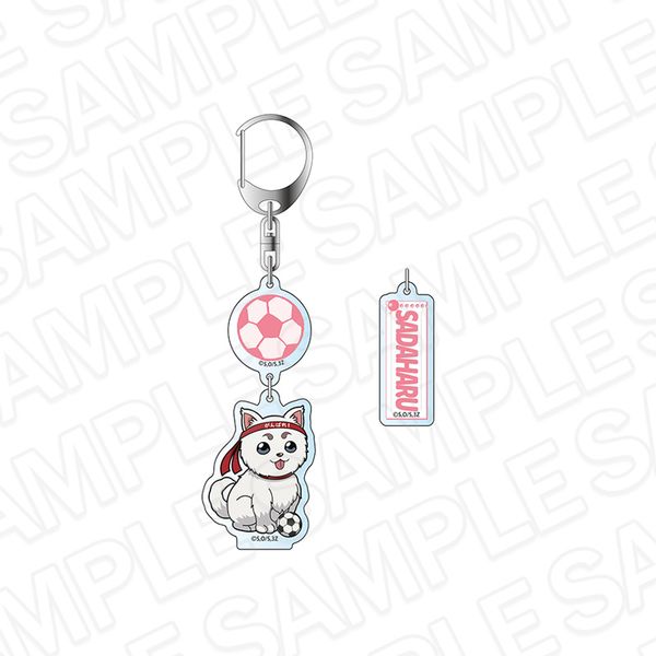 3年Z組銀八先生 ゆらゆらキーホルダー 定春 球技大会 デフォルメ ver. キャラアニで
                                                2025年8月発売