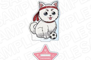 3年Z組銀八先生 アクリルメモスタンド 定春 球技大会 デフォルメ ver. キャラアニで
                                                2025年8月発売